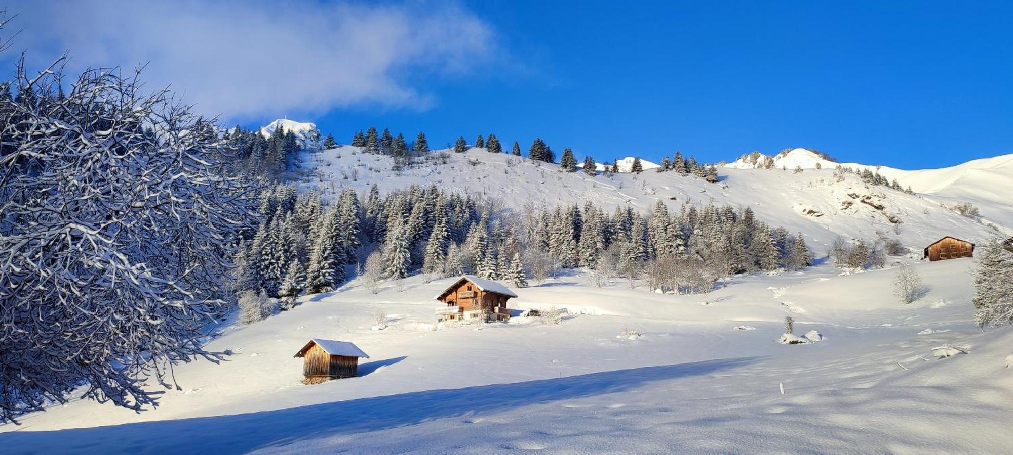 Le Taconet Hotel Le Praz de Lys Luaran gambar