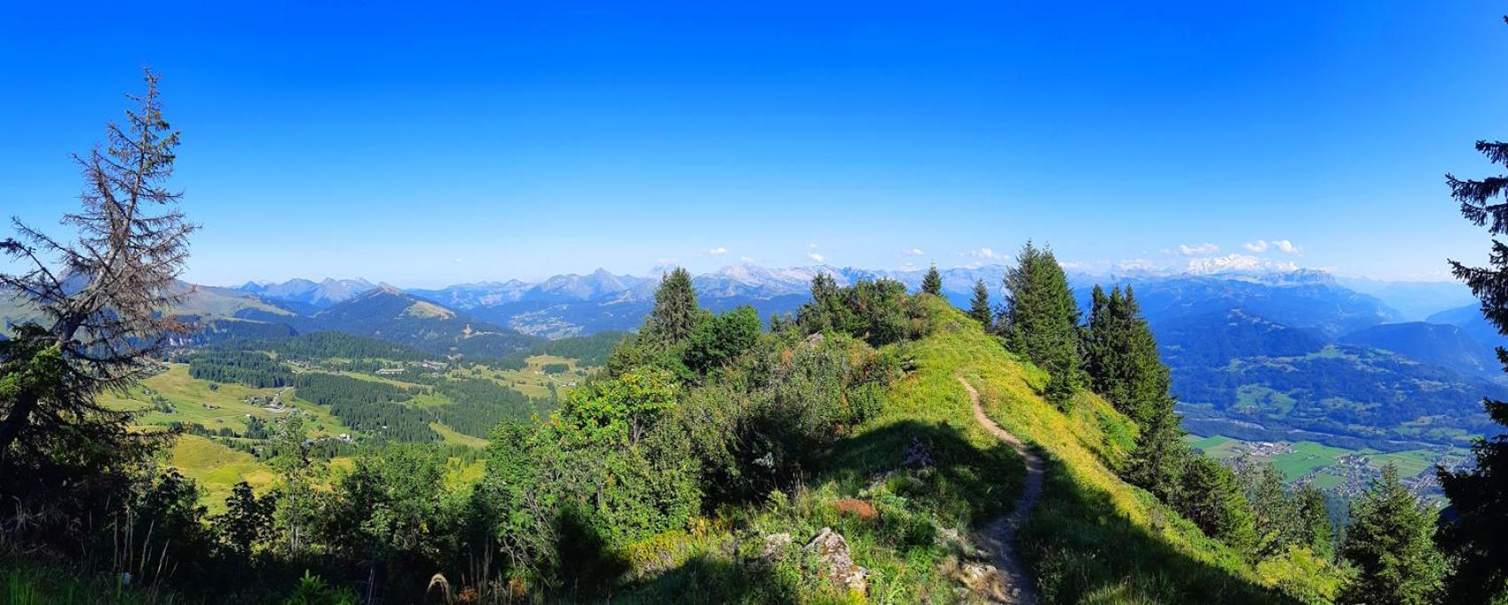 Le Taconet Hotel Le Praz de Lys Luaran gambar